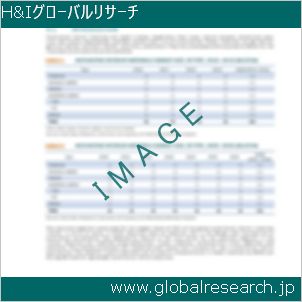 グローバルリサーチ調査レポートのイメージ